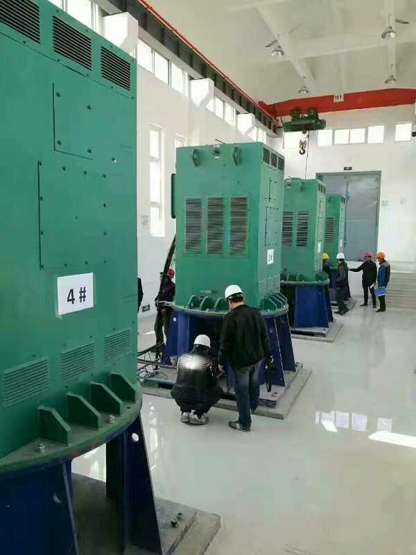 袁州某污水处理厂使用我厂的立式高压电机安装现场
