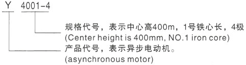 西安泰富西玛Y系列(H355-1000)高压袁州三相异步电机型号说明